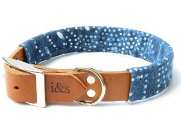 Indigo 2025 dog collar