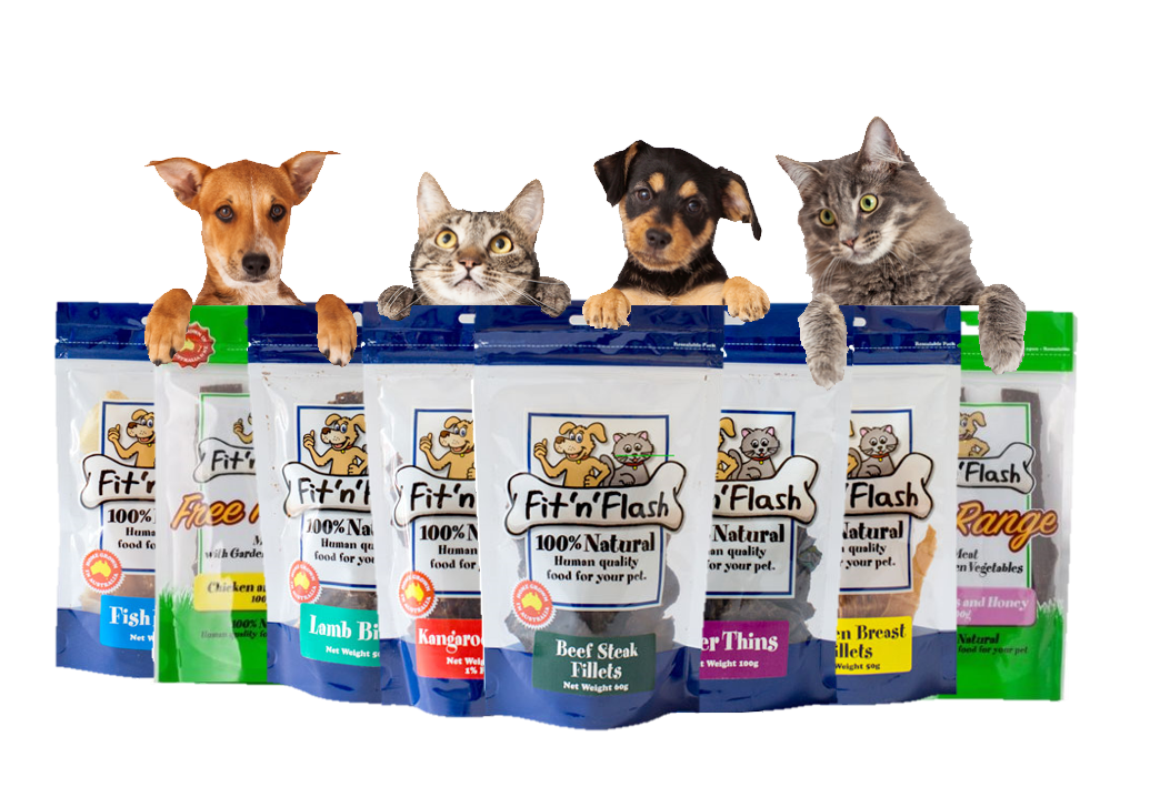 Fit'n'Flash 100% All Natural Treats