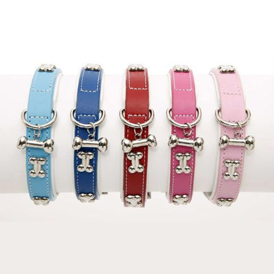 Dog collar hot sale with bones