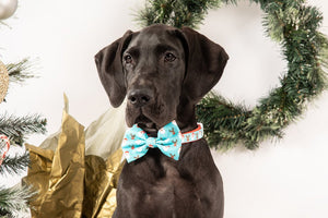 Big & Little Dogs Dog Collar & Bow Tie - Santa's Reindeers