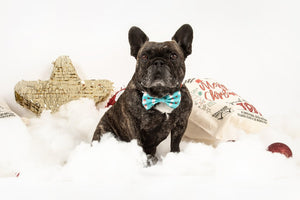Big & Little Dogs Dog Collar & Bow Tie - Santa's Reindeers
