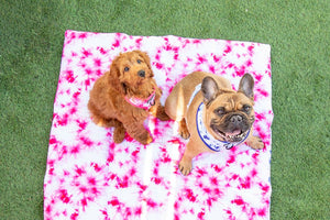 Big & Little Dogs - On The Go Pet Mat - Blue & Pink Tie Dye