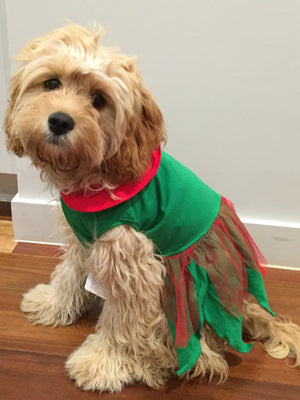 Dog Bless You - Elf Girl Costume