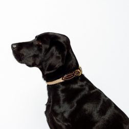 Mog and Bone Leather and Brass Rope Dog Collar