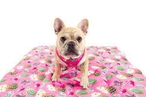 Big & Little Dogs - On The Go Pet Mat - Plant One on Me