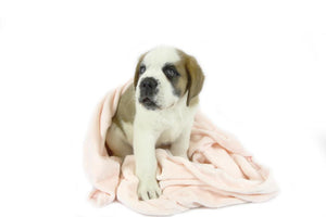 T&S Snuggle Pet Blanket  -  Grey, Blue or Pink