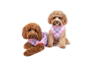 Big & Little Dogs Fleece Pyjamas - Pink & Purple Plaid