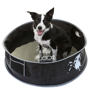 DOOG Pop-Up Dog Pool