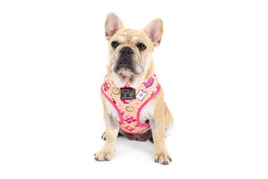 Big & Little Dogs Reversible Dog Harness - Slumber Party