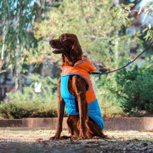 Huskimo Snow Parka Dog Coat - Orange