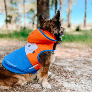 Huskimo Snow Parka Dog Coat - Orange
